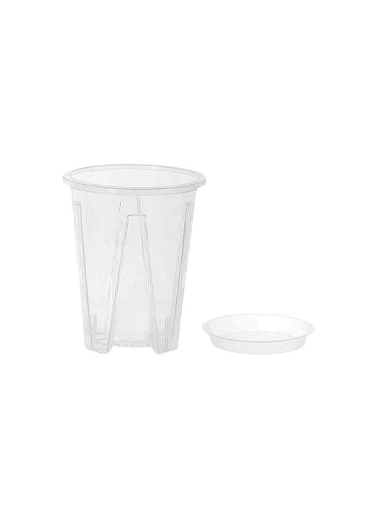 Aroid-Töpfe Größe 16 cm Untersetzer Ja Aroid-Töpfe Größe 16 cm Untersetzer Ja