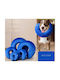 Elizabethan Haustierhalsband Blau Halsgröße|12-20cm
