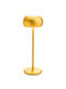 ArkoLight Dekorative Lampe Gold