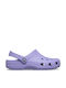 Crocs Crush Damen Clogs Lila