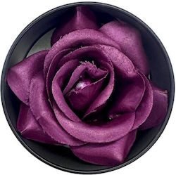 Absolut Beauty Blush Purple