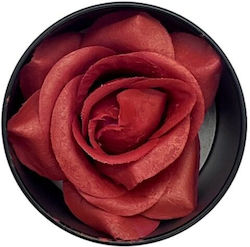 Absolut Beauty Blush Orange