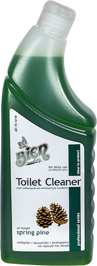 Toilettenreiniger 4 in 1 Frühlingskiefer