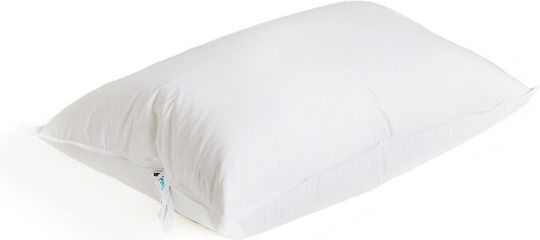 Feder-Schlafkissen Doppel 50x70 cm 3 Kammern Niedrig 90% Daunen FP 750 Feder-Schlafkissen Doppel 50x70 cm 3 Kammern Niedrig 90% Daunen FP 750