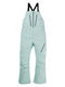 Burton 22060104302 Pantaloni de schi și snowboard pentru bărbați Ski & Snowboard Verde