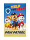 Paw Patrol Одеяло Многоцветно 100x150cm