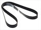Bosch Grooved Drive Belt