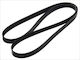 Bosch Grooved Drive Belt