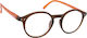 Oramont Reading Glasses +2.75 in Brown color 1129