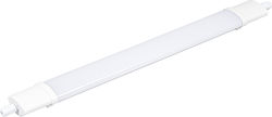Adeleq Emergency Lighting LED Adeleq Emergency Lighting LED