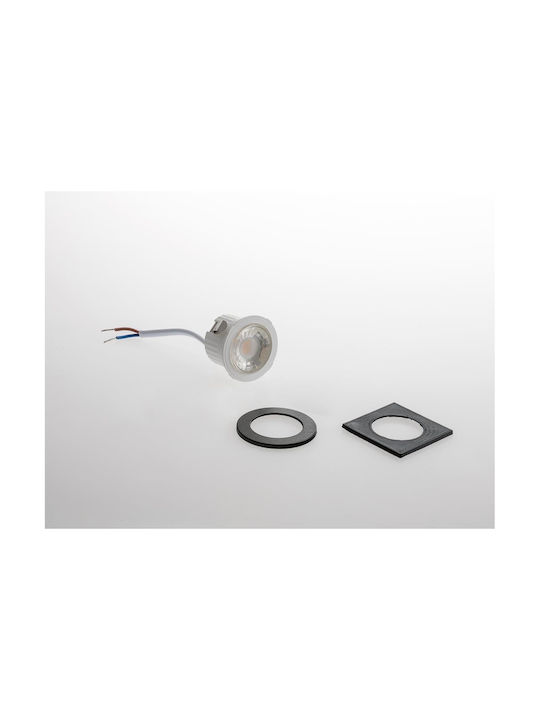 Fan Europe Rund Einbau Spot mit integriertem LED und Natürliches Weißes Licht 1Stück