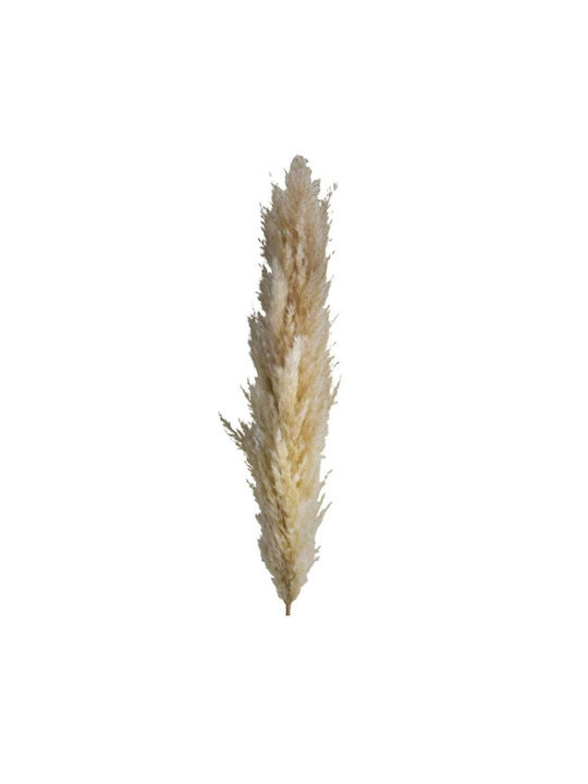 Decorative Flower Reed Blossom 2 Pieces Fyllian...