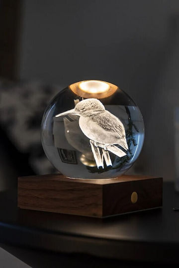 Gingko Light Decorative Lamp 3D Illusion Multicolour