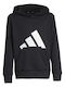 Kids Sweatshirt with Hood and Pockets Black Ft Hd
