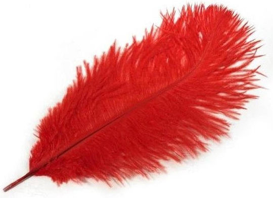 Grajmy razem Feather for Tickling in Red Color