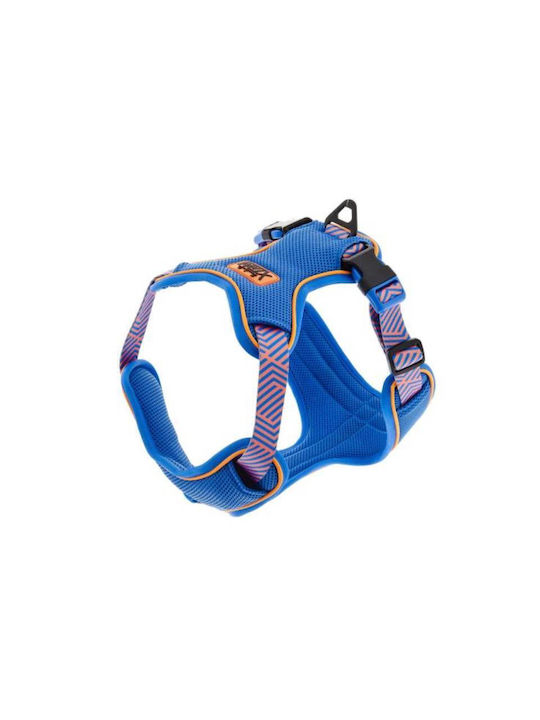 Harness Aria L 76 To 88cm X 2.5cm Blue