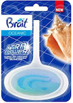 Brait Block Toilet 40gr