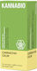 KannaBio Verde Ceai Produs organic 10 Pungi 1buc