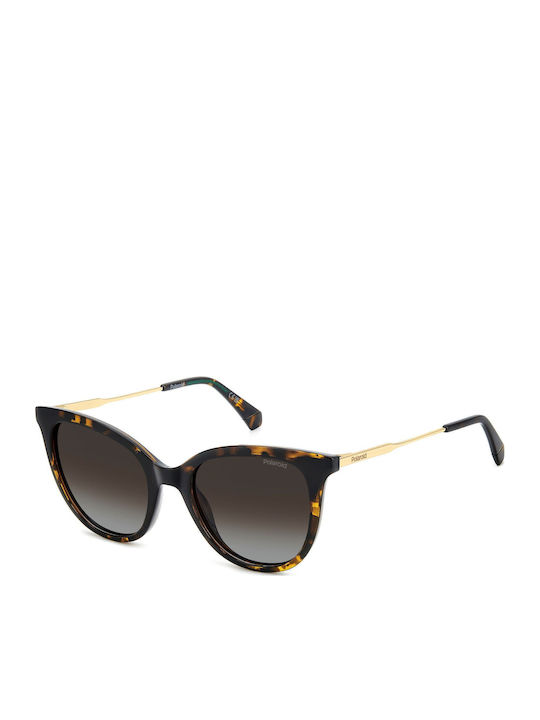 Polaroid Women's Sunglasses with Brown Tartarug...