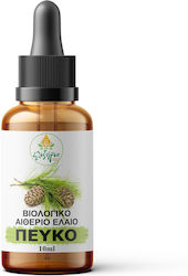 Ελιξήριο Βιολογικό Αιθέριο Έλαιο Πεύκο 10ml Ελιξήριο Βιολογικό Αιθέριο Έλαιο Πεύκο 10ml
