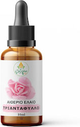 Rose Ätherisches Öl Mit Tropfer 10ml