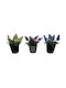 Sidirela Plant Pot No 24 E-4523