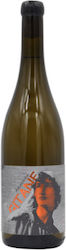 Akriotou Wines Λευκό Ξηρό 750ml Akriotou Wines Λευκό Ξηρό 750ml