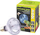 Komodo Neodym-Tageslicht 100W