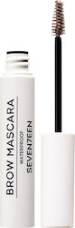 Seventeen Brow