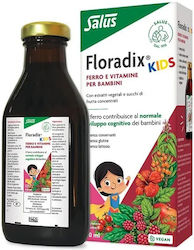 Salus Haus Floradix 250ml