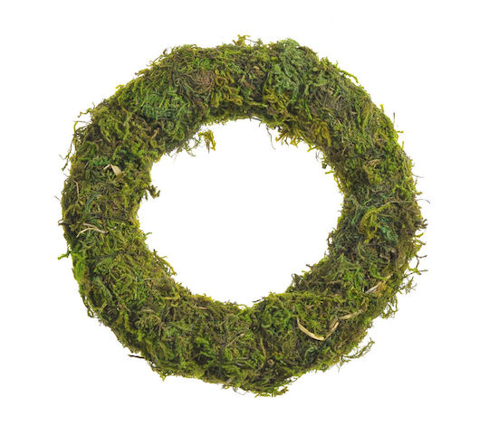 Aliga Christmas Decorative Wreath 17cm