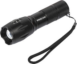 Proline LED с Максимална Яркост 300лм