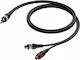 Procab Кабел 2x RCA мъжки - 2x RCA мъжки 0.25м