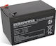 Europower Батерия UPS с Капацитет 12Ах и Напрежение 12V 1бр