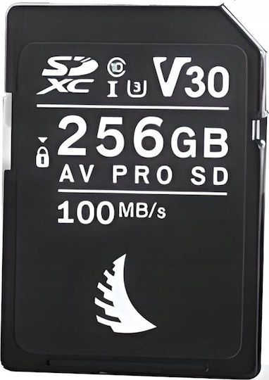 Angelbird Av Pro SDHC 256GB U3 V30 UHS-I 90MB/s