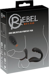 Cockring Prostata-Plug Cockring Prostata-Plug