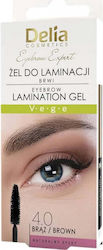 Delia Cosmetics Eyebrow Expert Gel for Eyebrows...