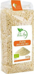 Biolife Bio Νιφάδες Κεχριού 300gr
