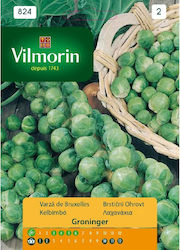 Vilmorin Seeds Cabbage