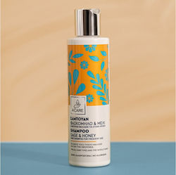 4care Σαμπουάν Ενυδάτωσης 200ml 4care Σαμπουάν Ενυδάτωσης 200ml