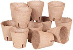 Biodegradable Seedling Pots 10 Pcs