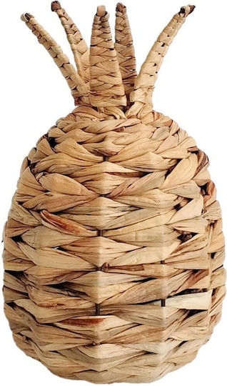 Inthebox Kea Dekorative Ananas 20x20x30 Seegras Natur 031573