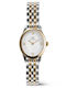 Daniel Wellington Women's Watch with Silver Metal Bracelet