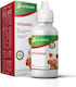 Avianvet Vitamino Liquido Βιταμινες Αμινοξεα 15ml
