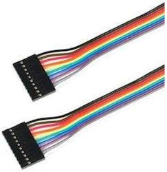 30cm 10 Pin Female To Female Dupont Cable