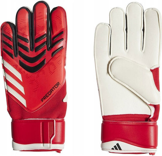 adidas Predator GL MTC Torwarthandschuhe Erwachsene Rot