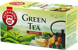 Teekanne Grüner Tee 20 Taschen 1,75g