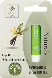 OliveSpa Lip Balm 4.5gr