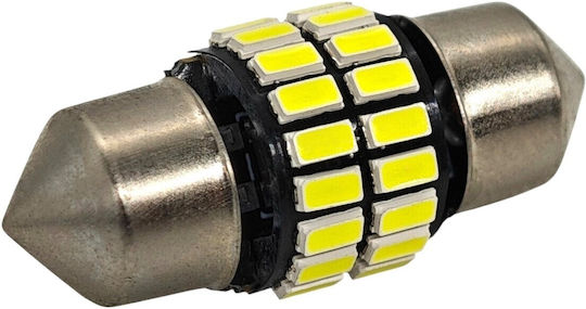 Lampen Auto C3W / C5W / C10W / C21W Canbus LED 5500K Kaltes Weiß 12V 1Stück