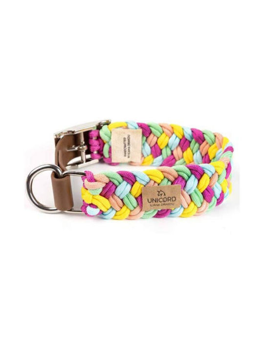Unicord Collar Colour Party Small Dog